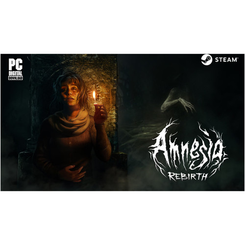 Amnesia: Rebirth (2020) Nintendo Switch 2 box