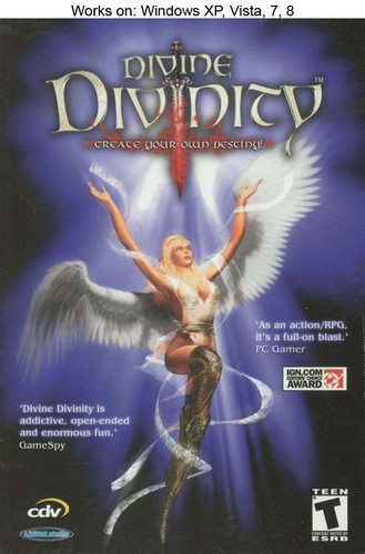 Divine Divinity (2002) Windows box