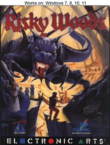 Risky Woods (1992) DOS box